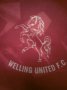 Welling United Home voetbalshirt  1995 - 1996