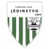 FK Jedinstvo Paraćin crest