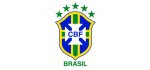 Brazil other leagues & Teams logo