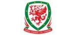 Wales Other Teams logo