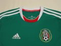 Mexico Home football shirt 2011 - 2013