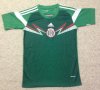 Mexico Home football shirt 2013 - 2015