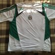 Training/Leisure football shirt 2007
