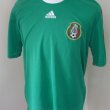 Training/Leisure football shirt 2010