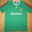 Training/Leisure football shirt 2010
