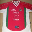 Training/Leisure football shirt 2010