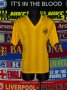 AEK Athens Training/Leisure football shirt 1989 - 2007