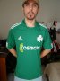 Panathinaikos Home football shirt 2010 - 2011