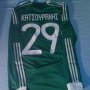 Panathinaikos Home football shirt 2011 - 2012