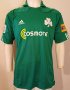Panathinaikos Home football shirt 2010 - 2011