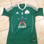 Panathinaikos Home football shirt 2011 - 2012