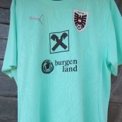 Training/Leisure football shirt 2024 - ?