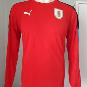 Goalkeeper football shirt 2016 - 2018