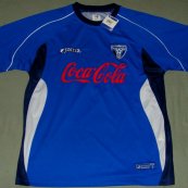 Training/Leisure football shirt 2004 - 2005