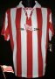 KS Cracovia Home football shirt 2006 - 2007