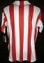KS Cracovia Home football shirt 2006 - 2007
