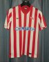 KS Cracovia Home football shirt 2012 - 2013