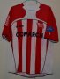 KS Cracovia Home football shirt 2009 - 2010