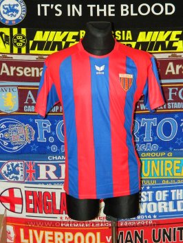 KS Polonia Bytom Home football shirt 2008 - 2009