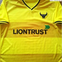 Oxford United Home football shirt 2015 - 2016 sponsored by Liontrust