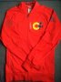 Colombia Training/Leisure football shirt 1993 - 2016