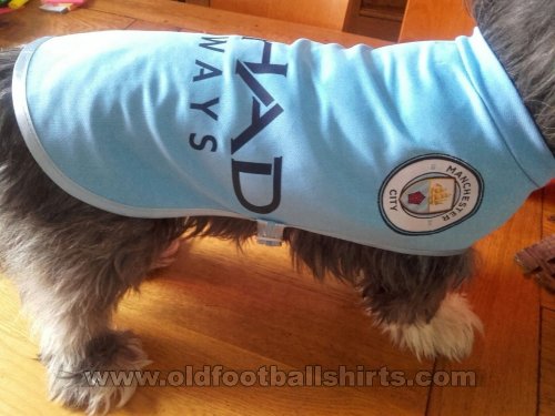 Manchester City Training/Leisure football shirt 2018 - 2019