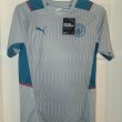Training/Leisure football shirt 2021 - 2022