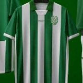 Home football shirt 2025 - 2026