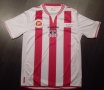 AC Ajaccio Home football shirt 2013 - 2014