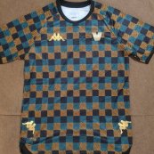 Training/Leisure football shirt 2022 - 2023