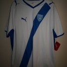 Home football shirt 2008 - 2010