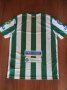 Ferencvaros Home football shirt 2013 - 2014