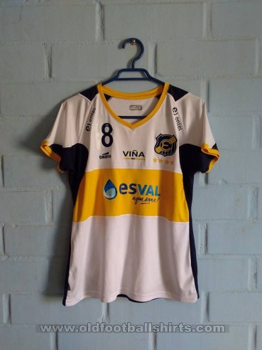 Everton Womens Teams football shirt 2013 - 2014