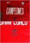 Chile Training/Leisure football shirt 1994 - 2016