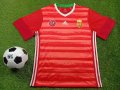 Hungary Home football shirt 2020 - 2022