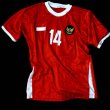 Cup Shirt Fußball-Trikots 2009 - 2010