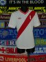 Peru Home football shirt 2013 - 2014