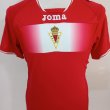 Home Fußball-Trikots 2012 - 2013