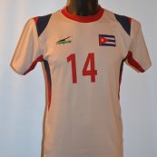 Home football shirt 2013