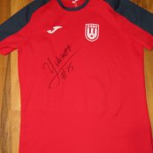 Training/Leisure football shirt 2024 - ?