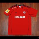 Home football shirt 2010