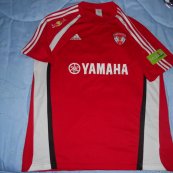 Cup Shirt football shirt 2009 - 2010