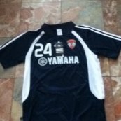 Training/Leisure football shirt 2009 - 2010