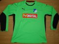 TSG 1899 Hoffenheim Goalkeeper football shirt 2008 - 2009