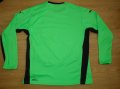 TSG 1899 Hoffenheim Goalkeeper football shirt 2008 - 2009