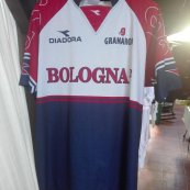 Training/Leisure football shirt 1998 - 2000