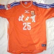 Home football shirt 2003