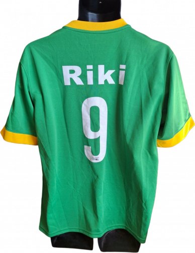 Hangzhou Greentown Home football shirt 2015