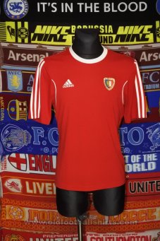 Piast Gliwice Away football shirt 2014 - 2015