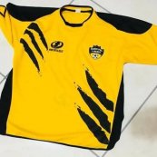 Home football shirt 2008
